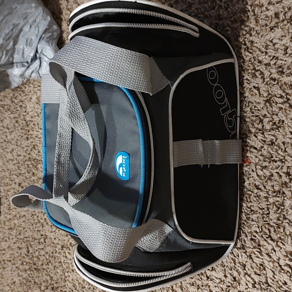 igloo lunch bag